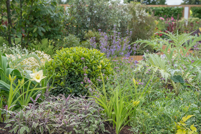 Witan Investment Trust PLC Global Growth Garden Hampton Court Flower Show 2016