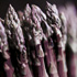 Asparagus officinalis 'Stewart's Purple'