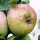  (09/03/2018) Malus domestica 'Allen's Everlasting' added by Shoot)