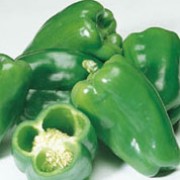 'New Ace' is an upright, sturdy vegetable with solitary flowers followed by mild flavored, sweet peppers. This variety is a good all-purpose pepper which is more cold tolerant than other varieties. Capsicum annuum 'New Ace' added by Shoot)