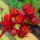 Rubus phoenicolasius (Japanese wineberry) Added by Nicola