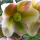 Helleborus 'Ivory Prince' (Lenten rose 'Ivory Prince') Added by Nicola
