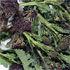 Brassica oleracea 'Summer Purple'