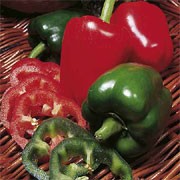 'Worldbeater' is a compact, upright, sturdy spice plant with solitary flowers followed by green fruit in summer ripening to red in autumn. A heavy-cropper. Grow under glass or plant out in summer in a warm, sheltered spot. Capsicum annuum 'Worldbeater' added by Shoot)