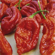 'Bhut Jolokia' is certified by the Guinness Book of Records as the hottest chilli of the Capsicum genus. It is often grown as an annual in cooler regions, but is a perennial vegetable with green leaves and it's fruit can be red, orange, yellow, white, pink or brown when ripe. Wash hands after handling. Capsicum chinense 'Bhut Jolokia' added by Shoot)
