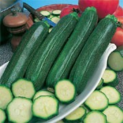 'Defender' F1 is a perennial plant widely cultivated as an annual with green leaves and an open habit, producing yellow flowers that form a heavy yield of mid-green, slightly speckled, edible fruit in summer and autumn. Good resistance to Cucumber mosaic virus.  Cucurbita pepo 'Defender' added by Shoot)