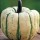 'Sweet Dumpling' is a good variety of squash producing many small, rounded, white with green striped vegetables with good flavour in autumn. Cucurbita pepo 'Sweet Dumpling' added by Shoot)