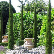 Reproduce Search tanker Cupressus sempervirens 'Totem Pole' Italian cypress Care Plant Varieties &  Pruning Advice