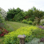 Long Border  Added by Patricia Jones