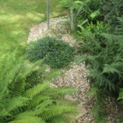 looking down to gravel garden/fern area from deck (03/08/2010) Added by max