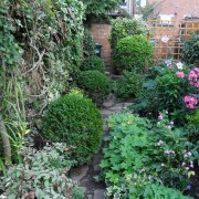 My garden (23/09/2011) Added by Patricia Burton