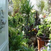 A view looking towards the exotic garden. (Summer2009) Added by Grenville Johnson and Alan Elms.