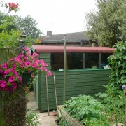 a bit of my garden! (22/08/2012) Added by Trev Cape
