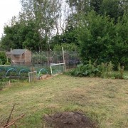 Before tiding up and cultivation Added by Nigel and Vicki