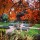 the formal part of the garden in autumn Added by Alexandra Campbell