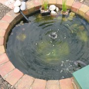 New Pond (05/07/2010) Added by 