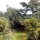 Garden from house 20/08/17 Added by Dennie D
