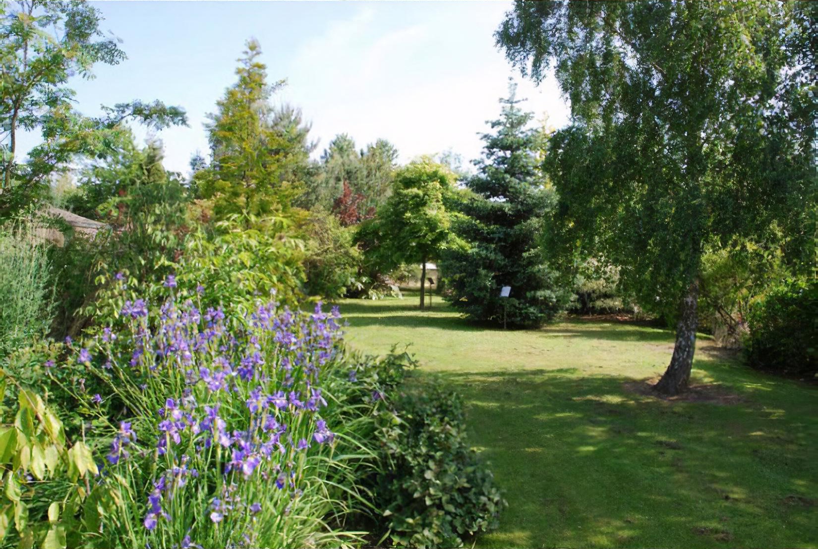 Bluebell arboretum