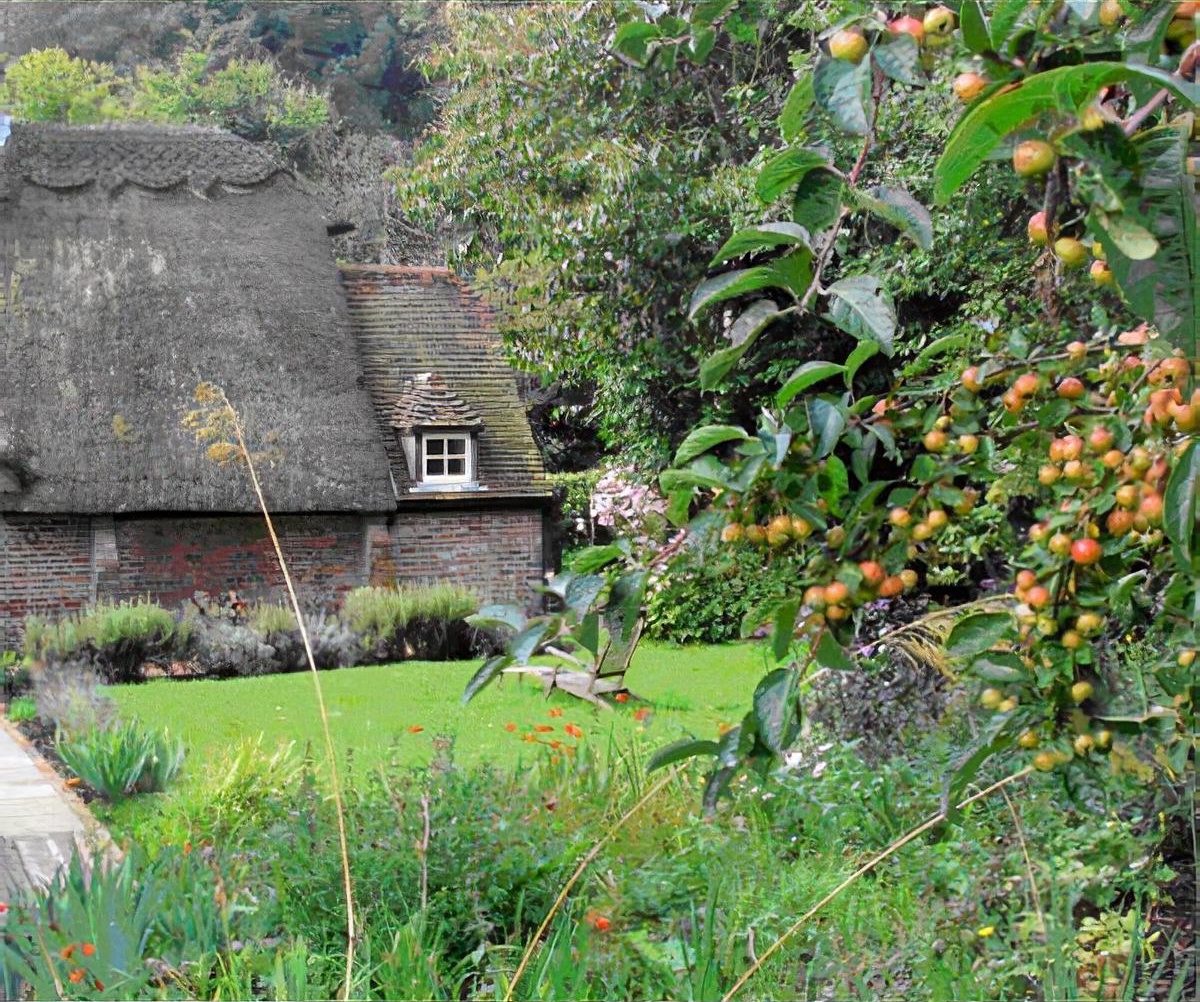 Rural cottage garden