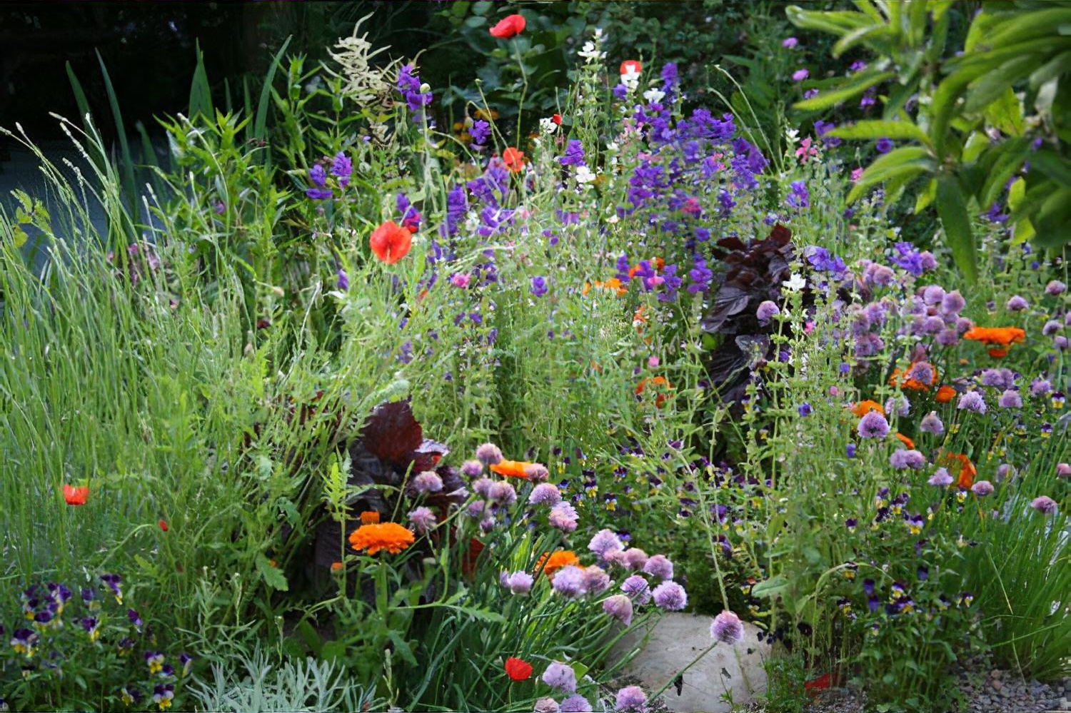 The SKYshades Wild Office by garden designer Marney Hall Chelsea Flower Show 2011