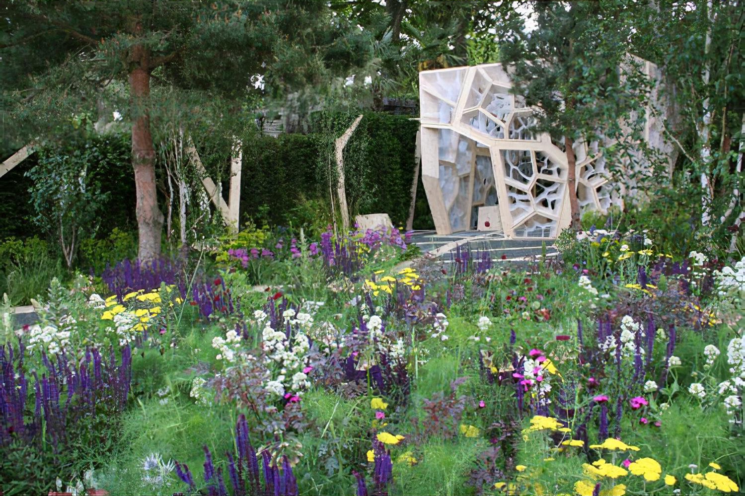 Times Eureka Garden with the Royal Botanic Gardens, Kew by garden designer Marcus Barnett Chelsea Flower Show 2011