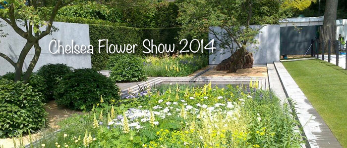 Chelsea Flower Show 2014