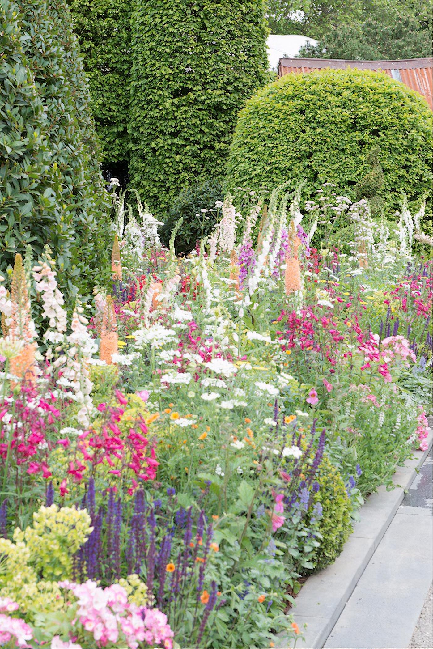 Harrods British Eccentrics Garden RHS Chelsea Flower Show 2016