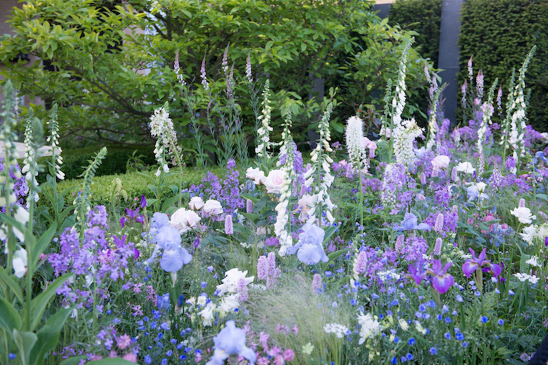 LG Smart Garden RHS Chelsea Flower Show 2016