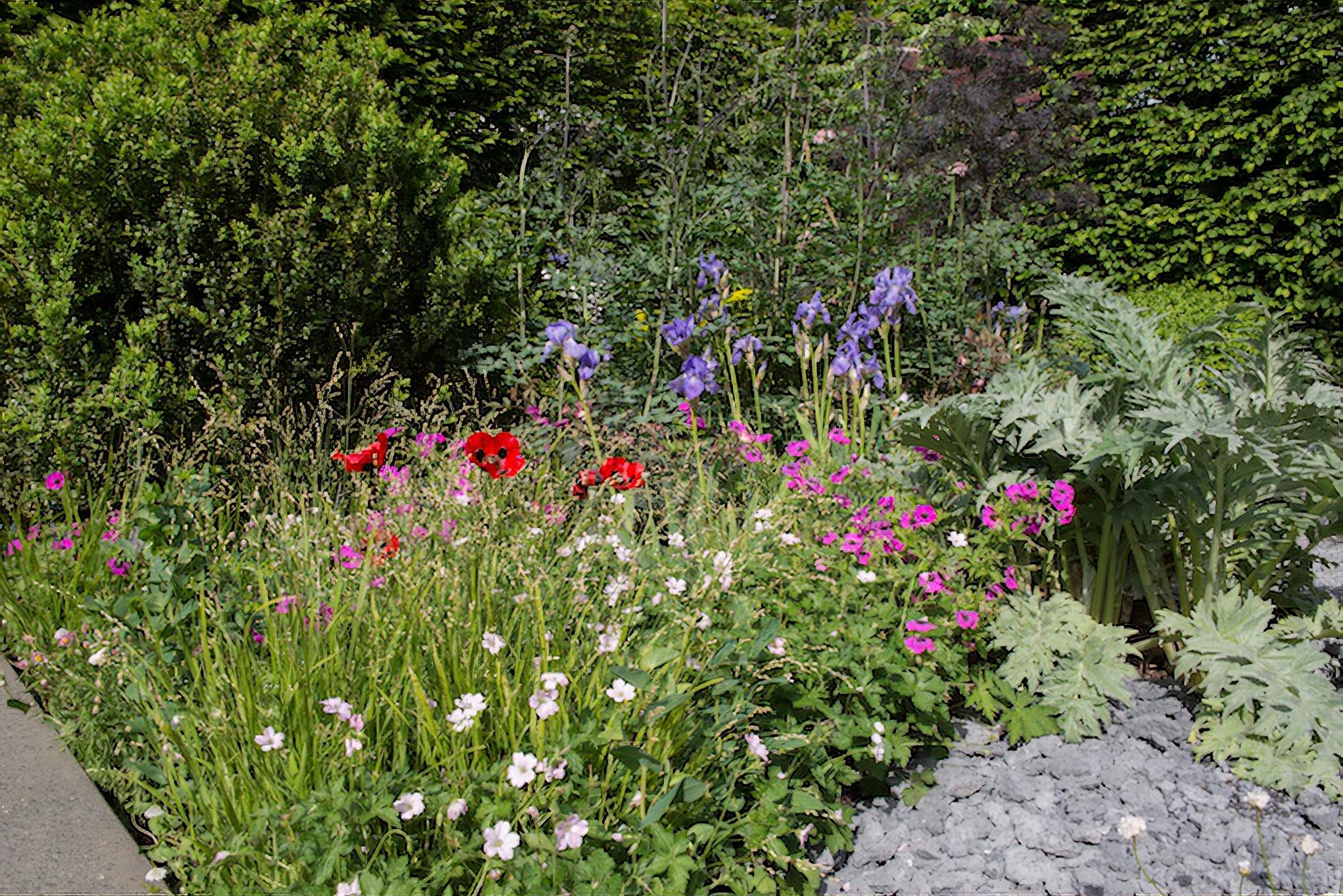 Linklaters Garden for Maggie’s by garden designer Darren Hawkes