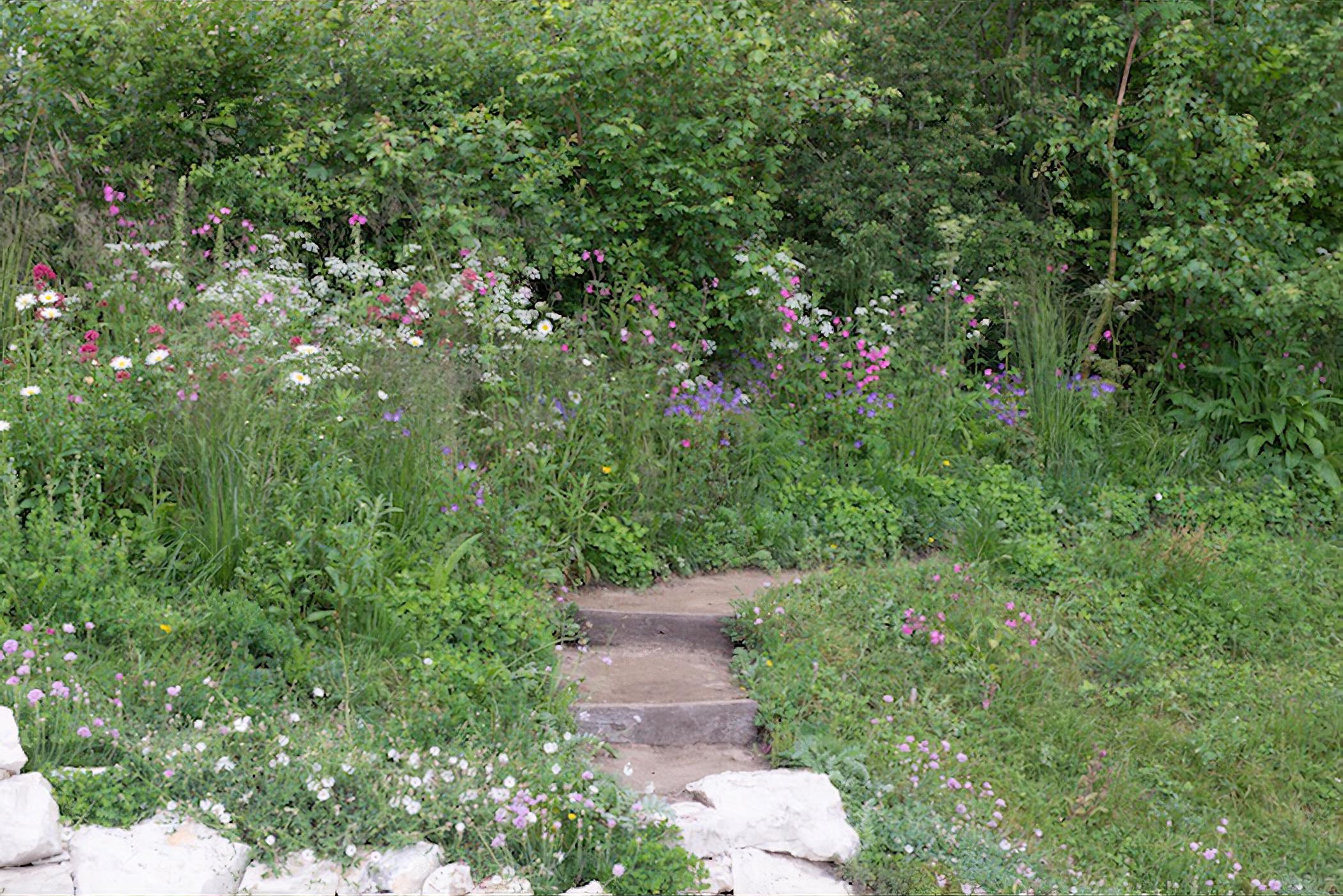 Welcome to Yorkshire Garden by garden designer Tracy Foster