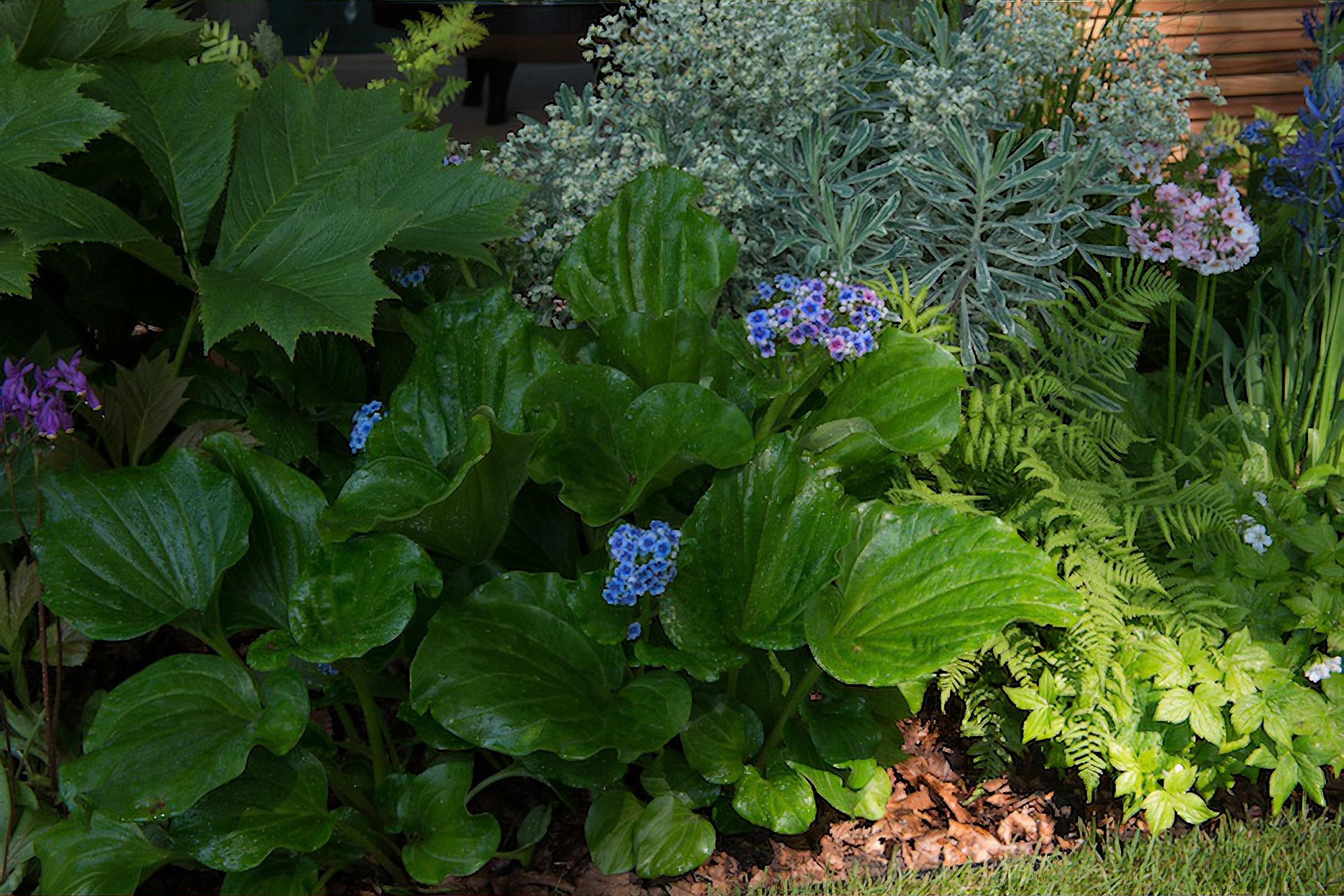 The Morgan Stanley Garden for the NSPCC Chelsea Flower Show 2018 by garden designer Chris Beardshaw