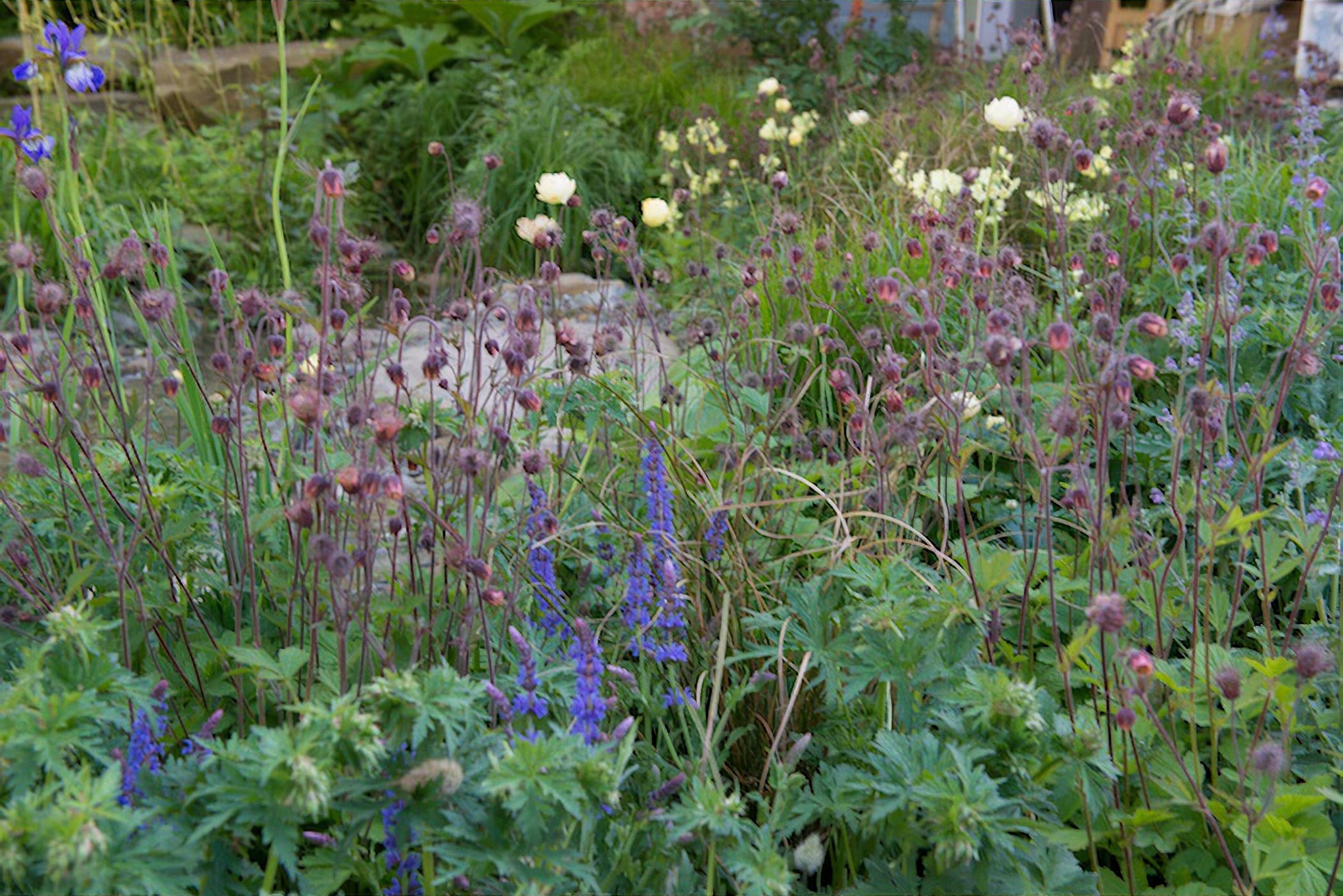 The Wedgwood Garden Chelsea Flower Show 2018 by London and Sussex based garden designer Jo Thompson