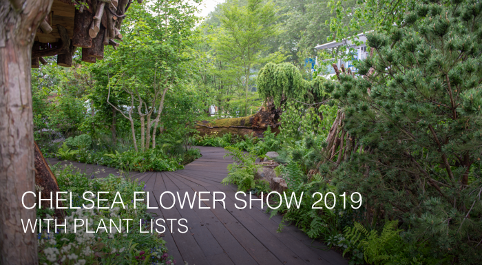 Chelsea Flower Show 2019