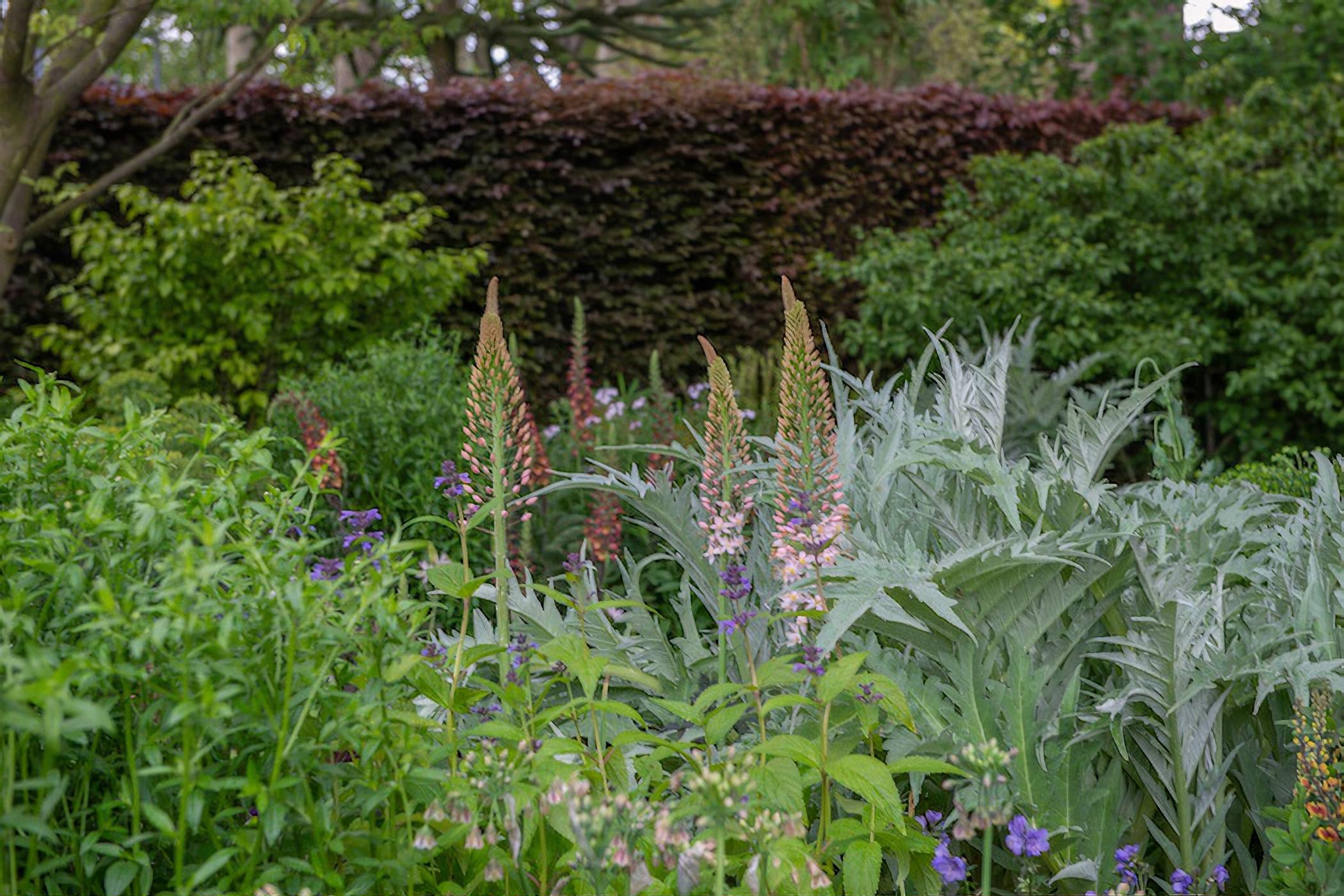 The Morgan Stanley Garden by garden designer Chris Beardshaw Chelsea Flower Show 2019