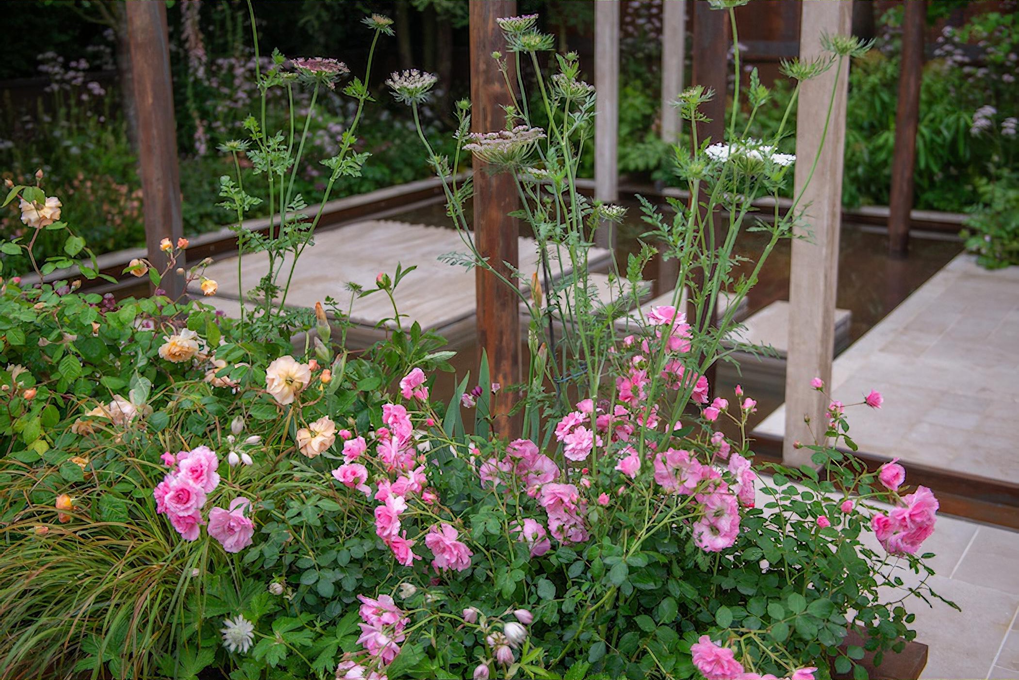 The Wedgwood Garden by garden designer Jo Thompson Chelsea Flower Show 2019