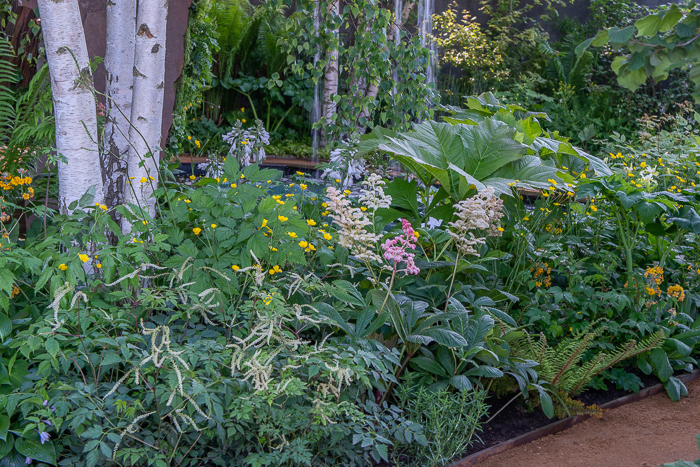 The MEDITE SMARTPLY Building the Future Garden by garden designer Sarah Eberle for Chelsea Flower Show 2022