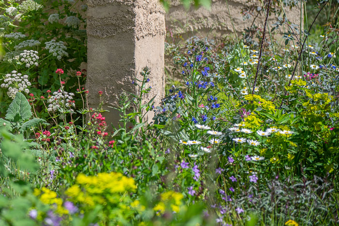 The Mind Garden by garden designer Andy Sturgeon for Chelsea Flower Show 2022