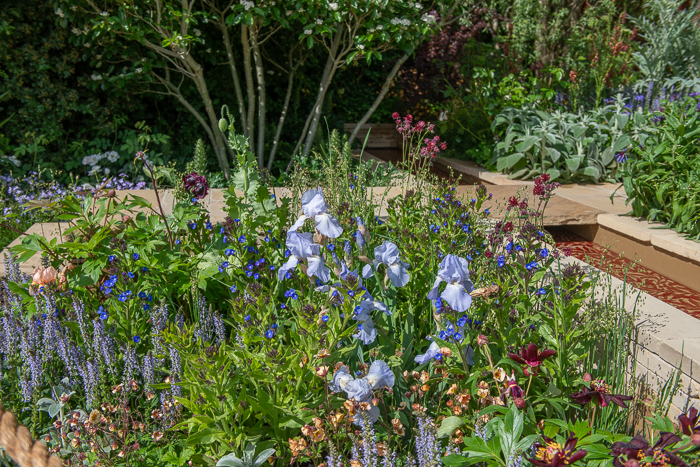 Chelsea Flower Show 2022 Morris and Co. Garden by garden designer Ruth Willmott