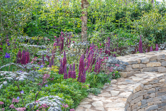 The RAF Benevolent Fund Garden by garden designer John Everiss for Chelsea Flower Show 2022