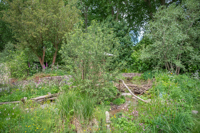 A Rewilding Britain Landscape Garden designed by garden designer Lulu Urquhart and Adam Hunt for Chelsea Flower Show 2022