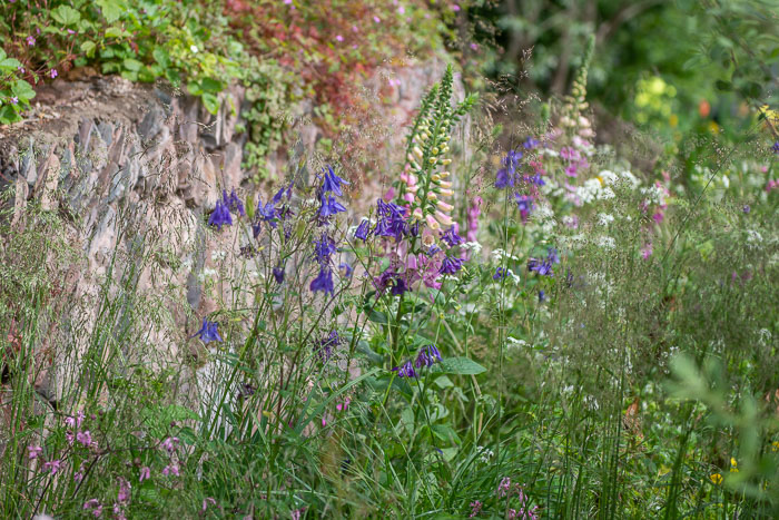 A Rewilding Britain Landscape Garden designed by garden designer Lulu Urquhart and Adam Hunt for Chelsea Flower Show 2022