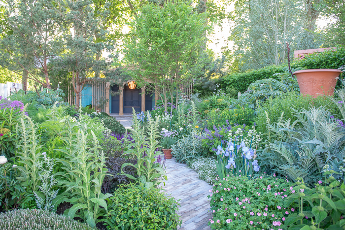 The RNLI Garden by garden designer Chris Beardshaw for Chelsea Flower Show 2022