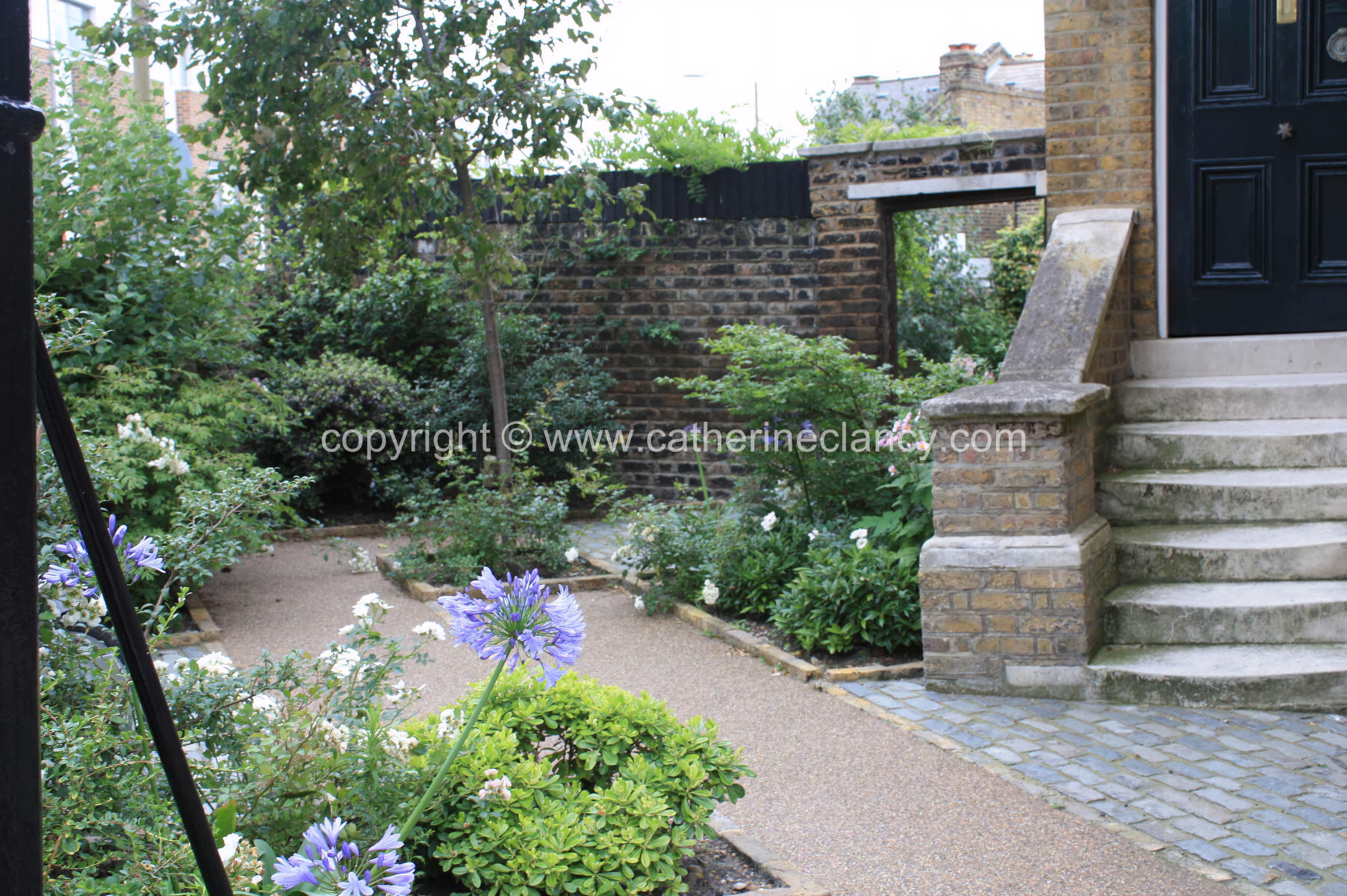 London courtyard front garden by Blackheath based garden designer Catherine Clancy MSGD 