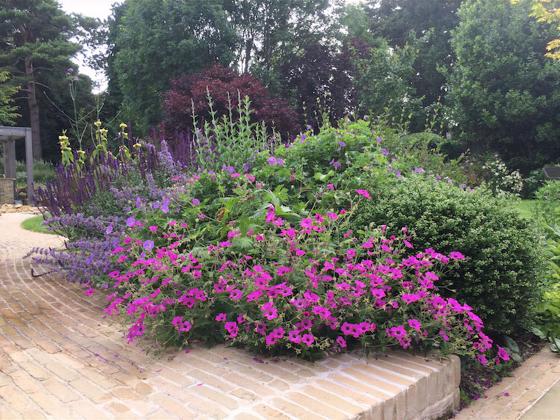 Large Country Garden Design in Surrey by garden designer Helen Elks-Smith MSG