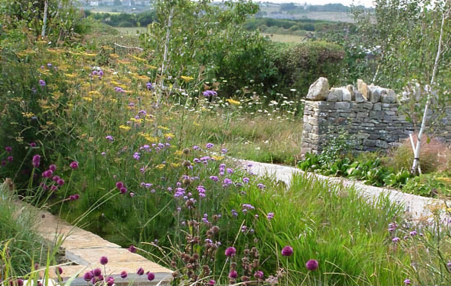 Large Contemporary Country Garden Design in Dorset by garden designer Helen Elks-Smith MSGD