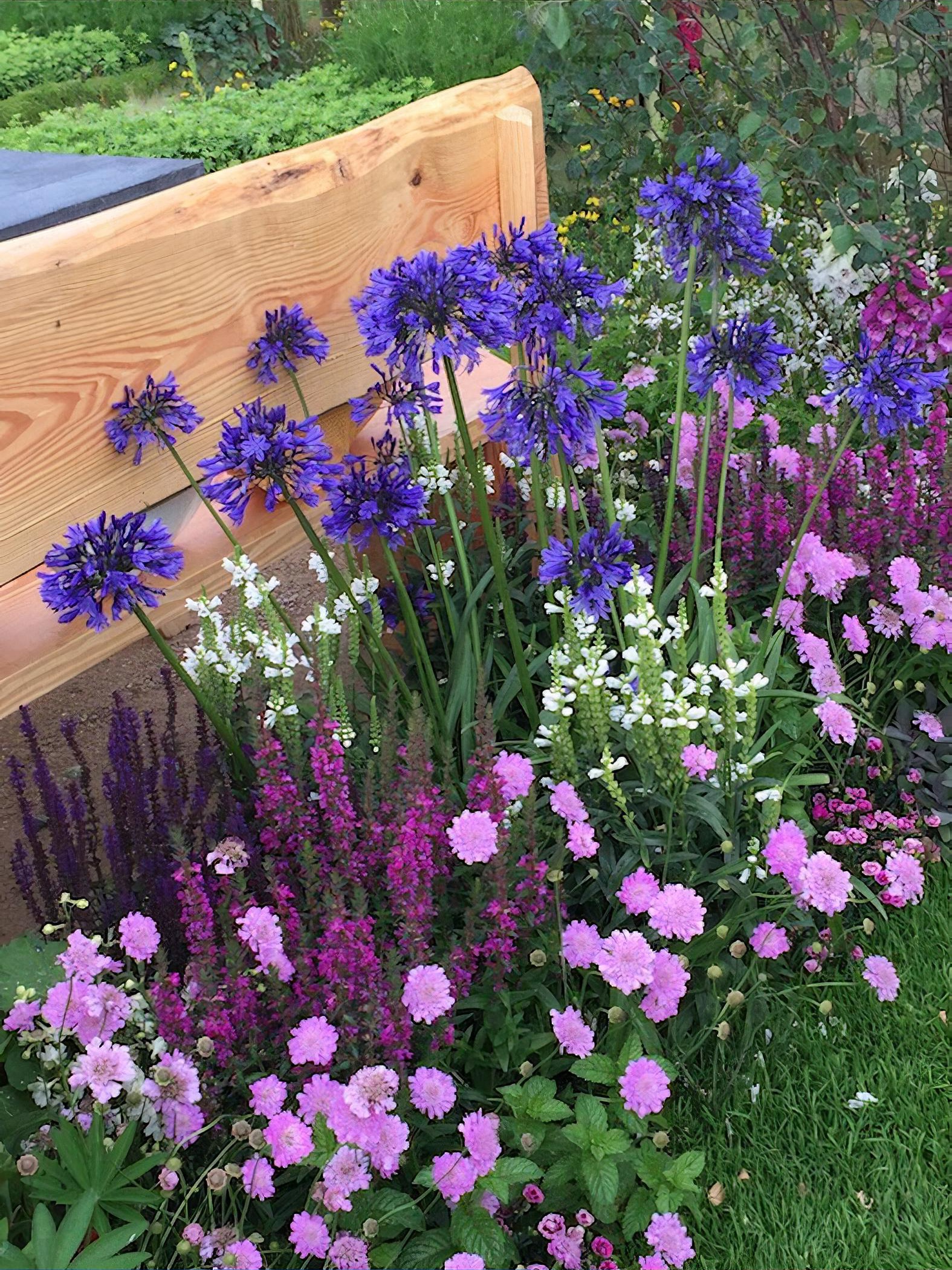 Mid Cheshire Hospitals Charity ‘Remember Me’ Garden for RHS Flower Show Tatton Park 2017 By Cheshire based garden designer Jane Bingham