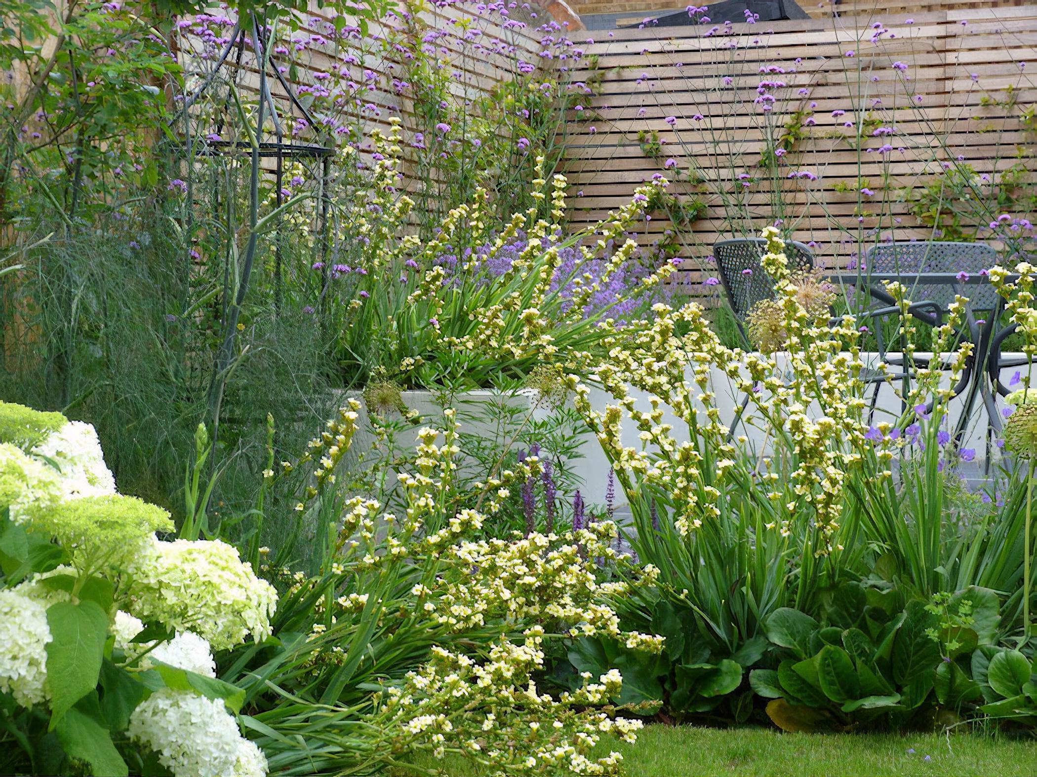 A contemporary urban garden By London based garden designer Pippa Schofield