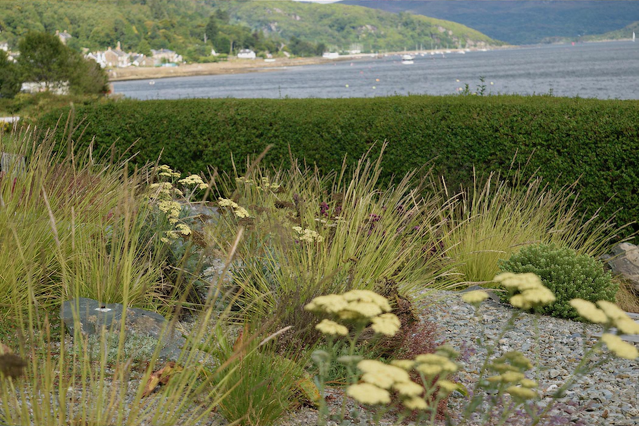 Exposed Coastal Garden by Scotland based garden designer Rachel Bailey