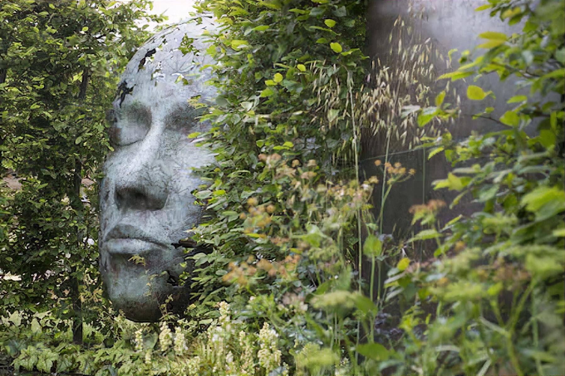 The ‘Thrive Reflective Mind’ Garden by Buckinghamshire garden designer Richard Rogers