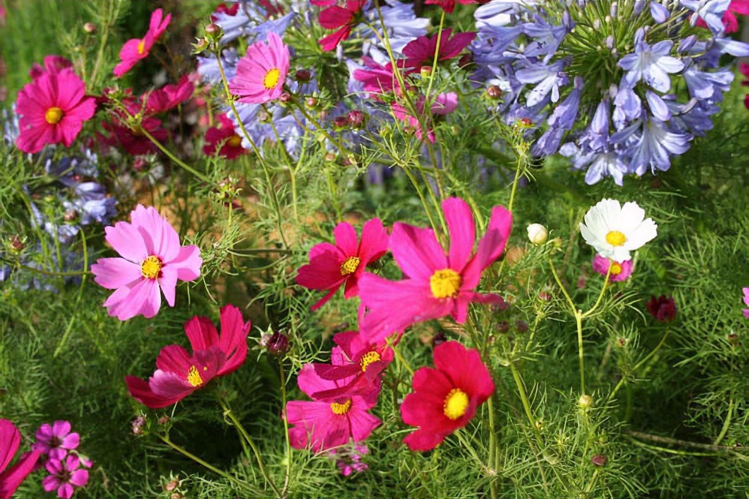 Hampton Court Flower Show 2010 A Matter of Urgency Garden